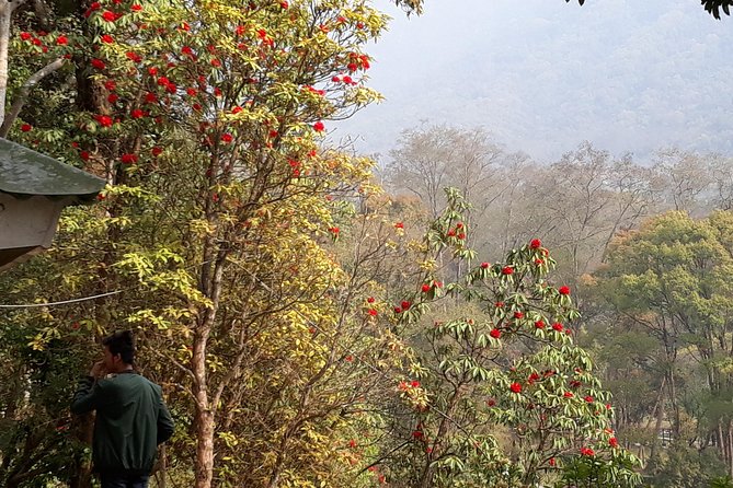 10 days Annapurna Base Camp Trek - Base Camp Day Via Machhapuchhre Base Camp: The Moment You Came For