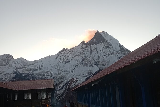 10 Days Annapurna Base Camp Trekking - Back Down to Bamboo: Leg-Day, But Manageable