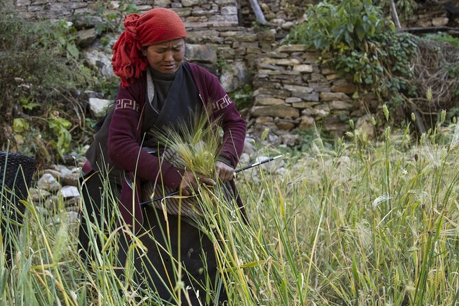10 Days Manaslu Circuit Trek in Larke La Pass - Day-by-Day: From Machhakhola to Larke La and Back Down