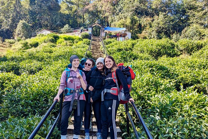 10 Days Private Guided Annapurna Basecamp Trek via Poon Hill - To Annapurna Base Camp: Modi Khola valley and the glacier payoff
