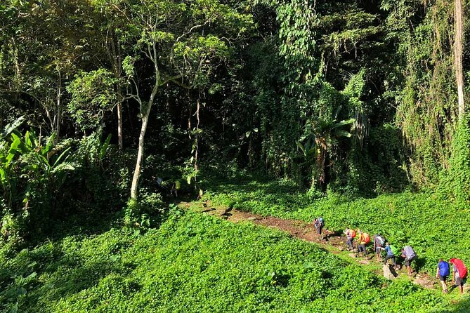 11 Day Kokoda Trek Australian and Local Guides - Day 6: A Local Sabbath Option with Seventh-day Adventist Singing