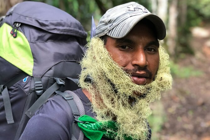 11 Day Kokoda Trek Australian and Local Guides - Day 7: Kagi to Menari and the Brutal Lesson of Brigade Hill