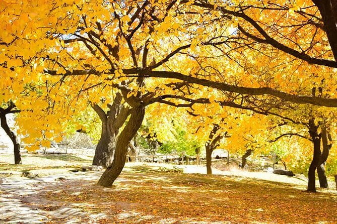 11 Days Trek Nanga Parbat Base Camp & Hunza Gojal Valley - Who this trek is best for