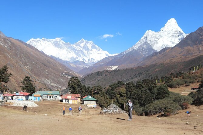 12 Day Everest Base Camp Guided Trek - Rhododendron to Tengboche monastery: panoramas and forest air