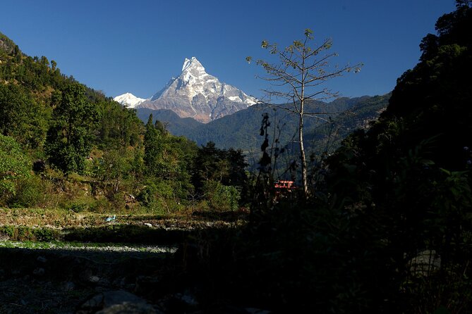 12-Day Nepal Adventure Trek with Jungle Safari - The drive to Pokhara: river roads and the calm reset