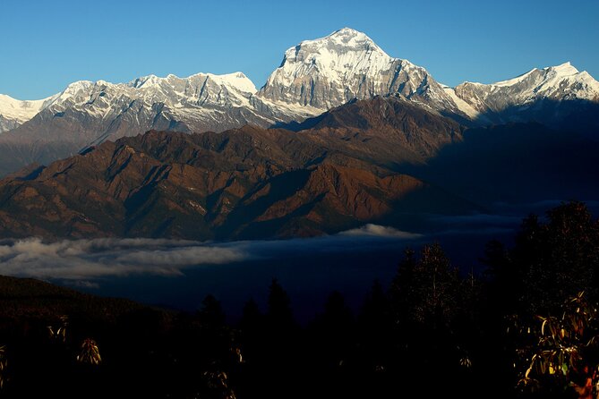 12-Day Nepal Adventure Trek with Jungle Safari - Ghandruk and the easy downhill: rhododendron forests and bird-song