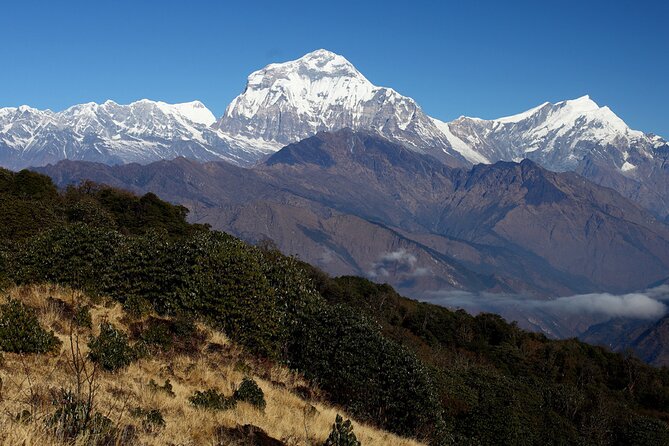 12-Day Nepal Adventure Trek with Jungle Safari - The last trek day to Syauli bazaar: rice fields and village descent