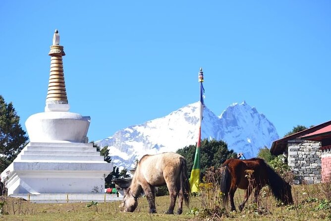 12 Day Private Mt. Everest View Luxury Trek - Day 4 and Day 5: Namche Bazaar Acclimatization With Real Village Life