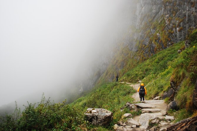 12 Days Annapurna Base Camp Trek - Ghorepani and the rhododendron climb