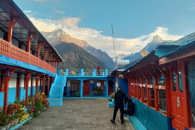 12 Days Annapurna Base Camp Trek - Annapurna Base Camp day: the forest changes, the peaks get closer