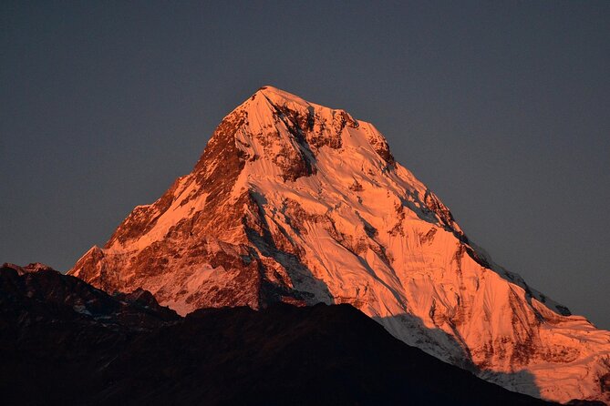 12 Days Annapurna Base Camp Trek - Ulleri’s stone steps: the trek starts with honest effort