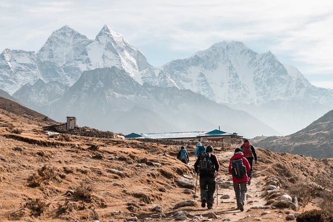 12 Days Annapurna Circuit Trek from Kathmandu - Yak Kharka to Thorong Phedi: juniper forests, yak pastures, and the climb rhythm