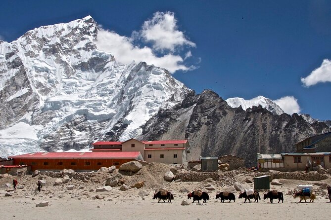 12 Days Everest Base Camp Trek - Dingboche: the rest day that makes or breaks your summit energy