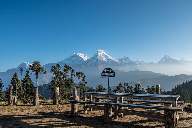 12 Days Trek Tour in Nepal - Why Mohare Danda feels different from the usual Annapurna circuit