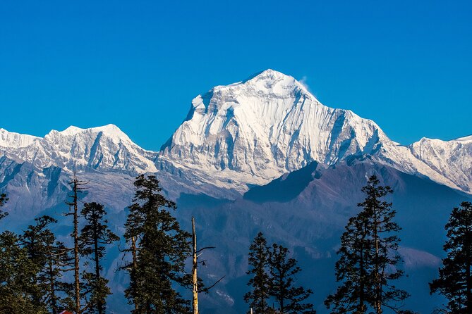 12 Days Trek Tour in Nepal - Community lodges, school visits, and how the trek stays human