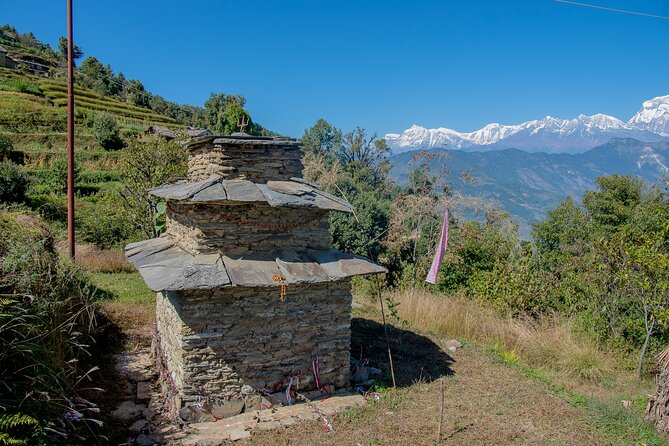 12 Days Trek Tour in Nepal - Transport realities: long mountain drives and a Pokhara flight plan
