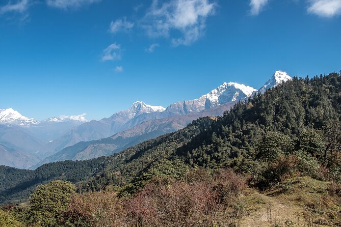 12 Days Trek Tour in Nepal - Guides and support: what you can bank on with Mountain Delights