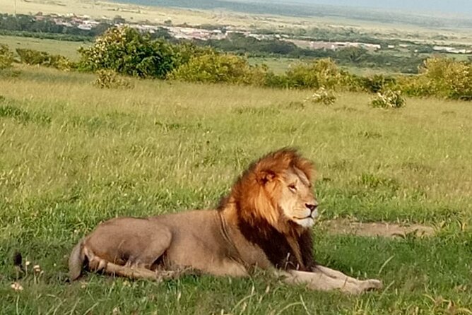 12 Days wildebeest migration Masai Mara Nakuru Uganda gorilla trekking safari - Jinja and the Nile Source: Craft Markets, Local Life, and Optional Adventure