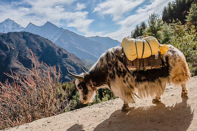 13-Day Private Trekking Experience in Everest Base Camp - Lobuche to Gorak Shep: the memorial ridge and the glacier-adjacent stretch