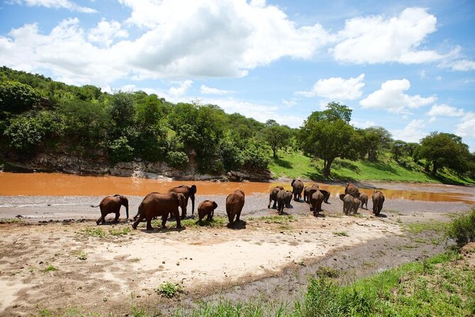 13 Days Adventure in Tanzania - Trekking and Wildlife Safari - Key highlights you should know