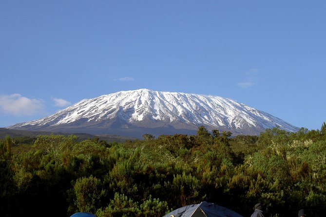 13 Days Adventure in Tanzania - Trekking and Wildlife Safari - Machame Route trekking: what the scenery changes actually mean