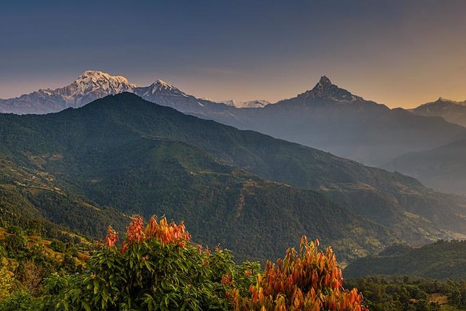 14 days Annapurna Base Camp Trek - Chhomrong to Sinuwa to Bamboo Village: big steps and real village life