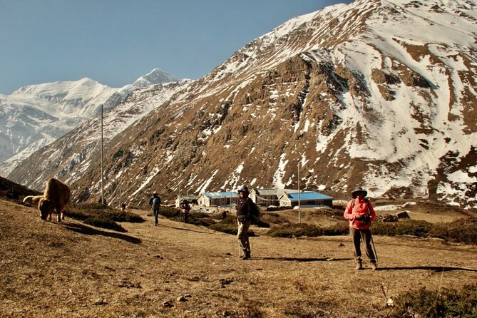 14 Days Annapurna Circuit Trek - Manang acclimatization day: the safety buffer you should actually use