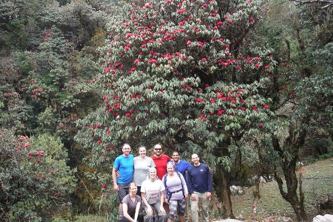 14 Days Luxury Annapurna Base Camp Trek - Chhomrong: where mountain views and village life meet