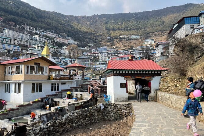 14 Days Private Everest Base Camp Trekking Tour - Dingboche: Pine, Rhododendron, and a Strong View Day