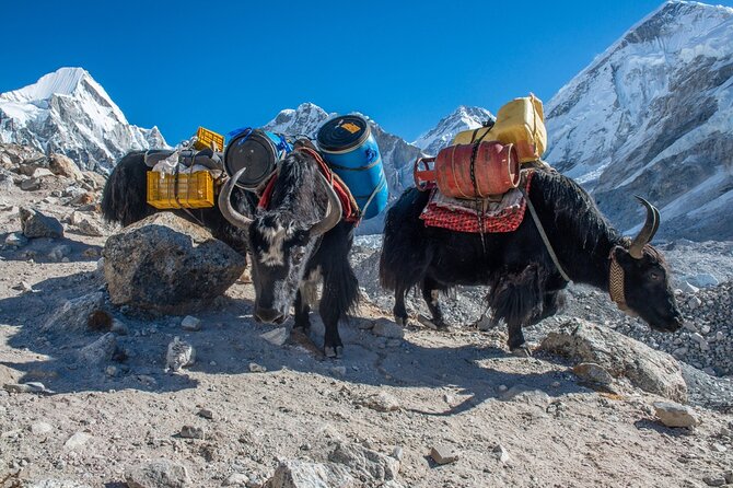 14 Days Private Tour Everest Base Camp Trek - The Namche rest day: how acclimatization actually works on a real schedule