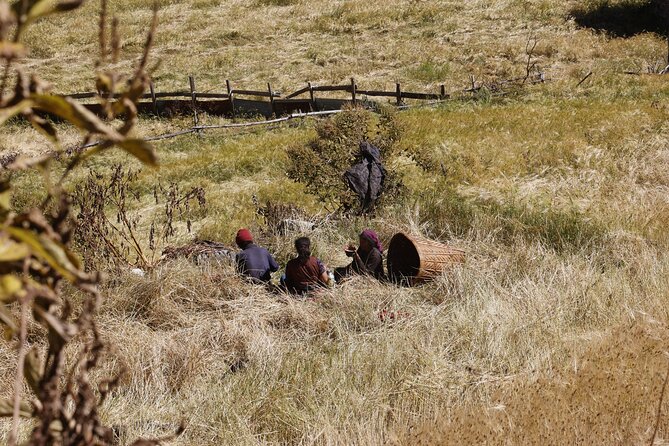 15 Days Manaslu Circuit Trek - Jagat to Deng: Suspension Bridges, Pine and Bamboo, and Long Trail Days