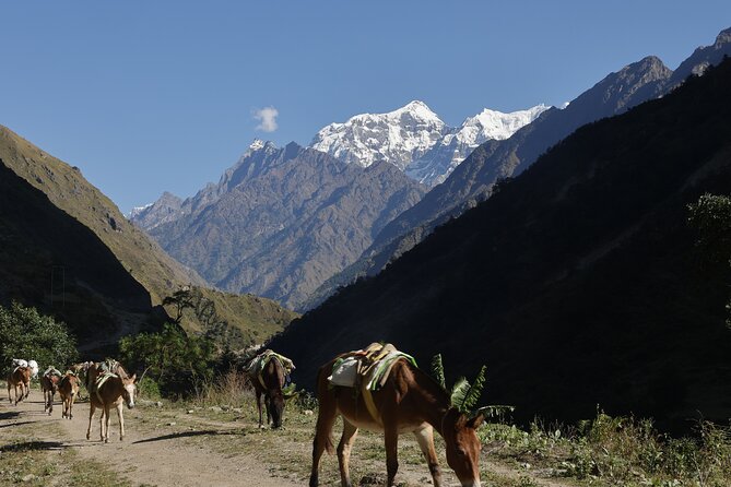 15 Days Manaslu Circuit Trek - Namrung and Shyala: Tibetan-Feeling Highlands and Ribung Gompa Views
