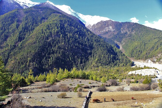 15 Days Round Annapurna Trek with Poon Hill from Pokhara - Syange to Dharapani: gorge views and the shift into trekking mode
