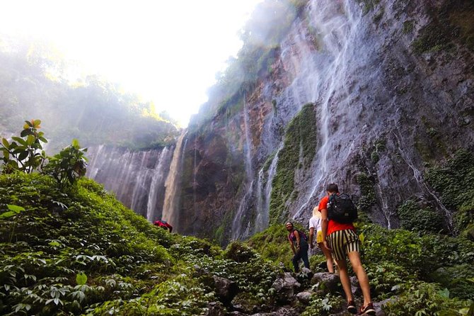 1Day - Tumpak Sewu Waterfall and Goa Tetes Cave Trekking - Key things to know before you go