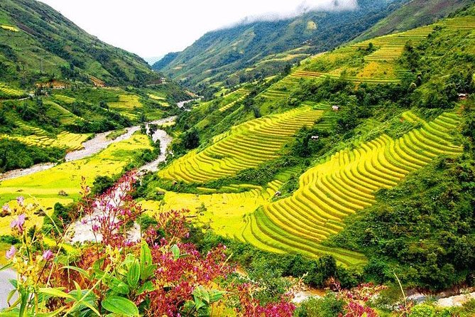 2-Day Amazing Sapa Trek With Sleeper Train From Hanoi - Overnight At Homestay - Day 3: Giang Ta Chai’s Morning Trek and Photo Time in the Rice Paddies