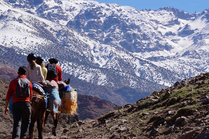 2- Day Guided Cultural Trek in the Atlas Mountains from Marrakech - Price and value: what $116.19 includes (and what that means in practice)
