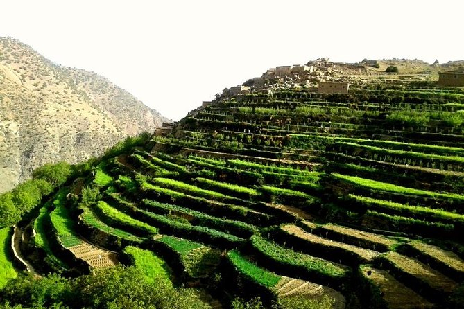 2-Day Guided Trek of the Atlas Mountains and Berber Villages - Guides, Food, and Mule Support That Make It Work