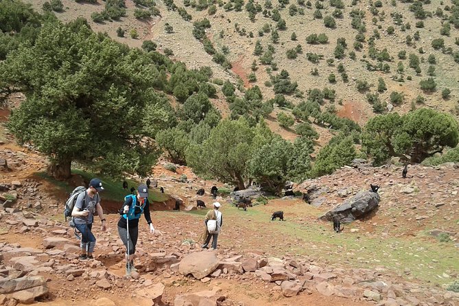 2-Day Guided Trek of the Atlas Mountains and Berber Villages - Where You Sleep: Tizi Oussem Guest House Reality Check