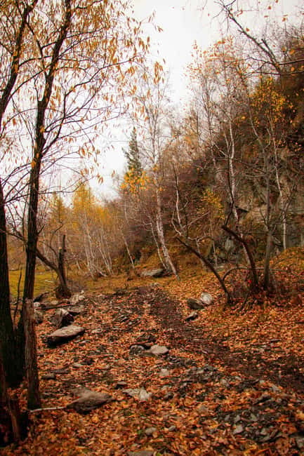 2 Day Horse trekking in Terelj national park - Key highlights worth your attention