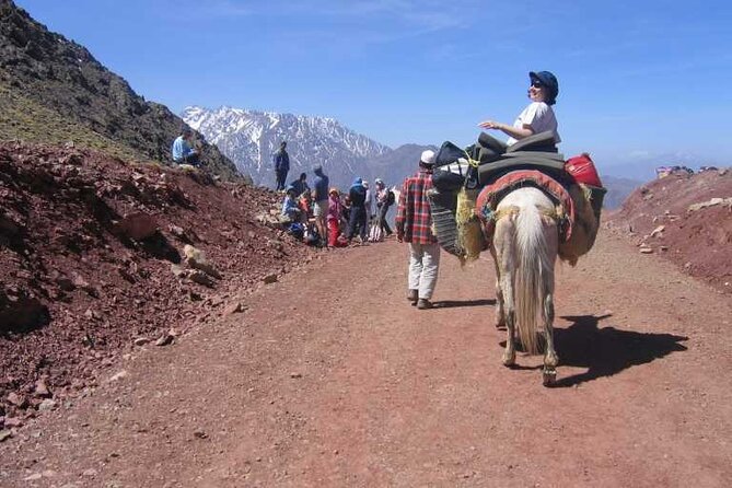 2-Day Jebel Toubkal Trek From Marrakech - What to expect about timing, group pace, and altitude