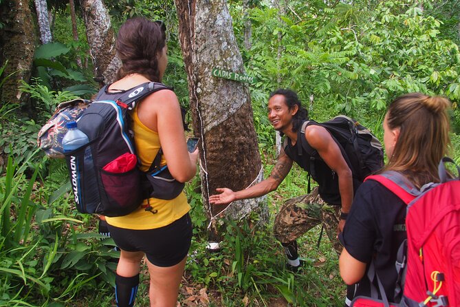 2-Day Jungle Trekking & Rafting in North Sumatra - Day two: a wildlife morning and your choice at camp