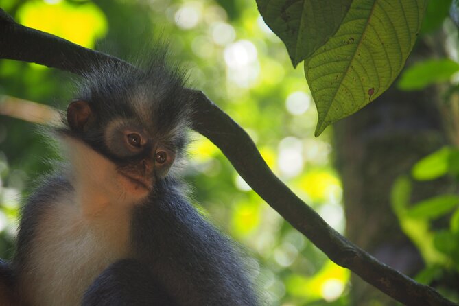 2-Day Jungle Trekking & Rafting in North Sumatra - Rafting back to Bukit Lawang: finishing strong