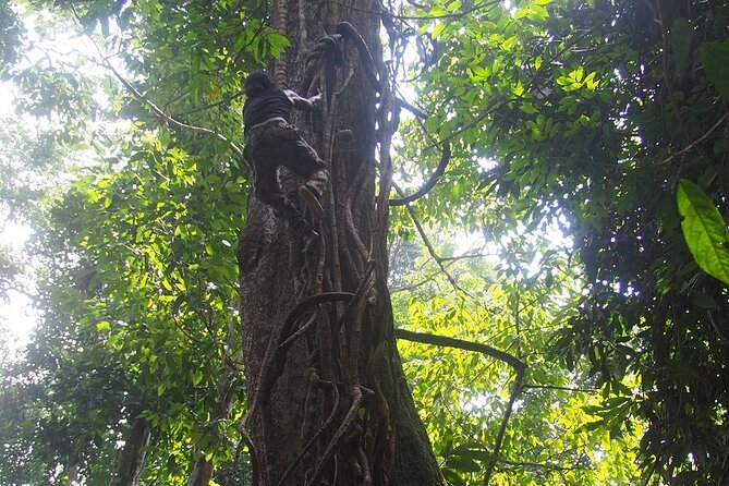2-Day Jungle Trekking & Rafting in North Sumatra - Small-group logistics: why max 6 feels like the sweet spot