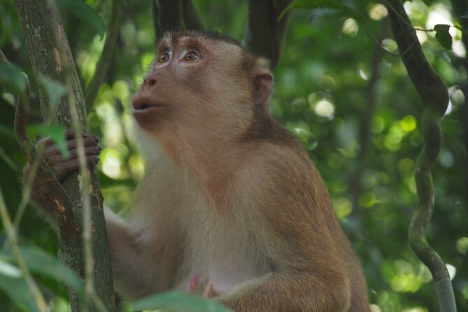 2-Day Jungle Trekking & Rafting in North Sumatra - What to pack (so you stay comfortable)