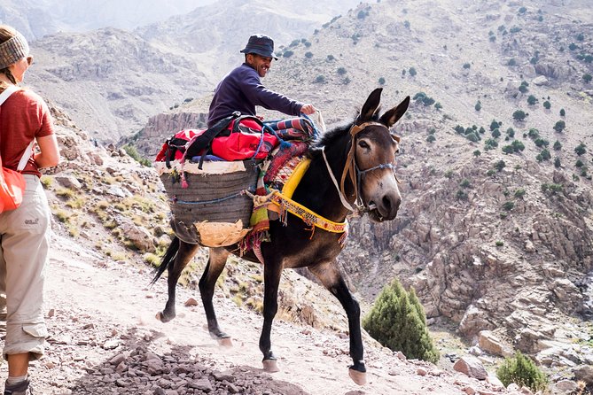 2 day mount toubkal trek ( private trek ) - Key things that make this private 2-day Toubkal trek work