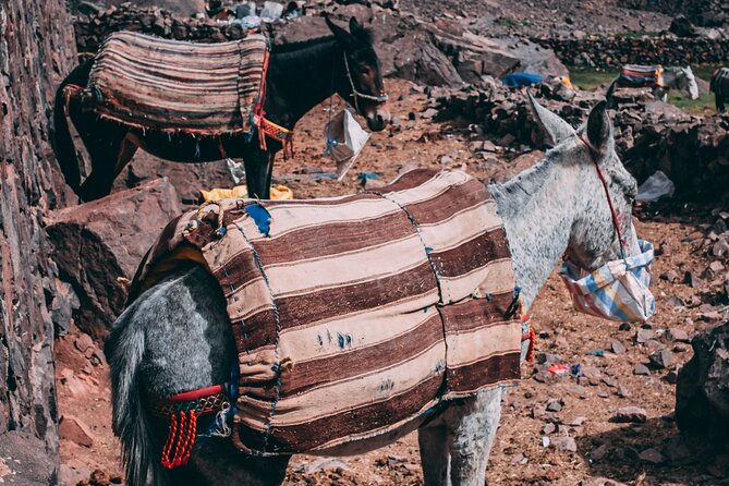 2 day mount toubkal trek ( private trek ) - The refuge night: one sleep that sets up everything