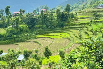 2-Day Private Trekking Tour to Australian Camp & Dhampus - Pokhara to Kande: The Easy Start That Sets the Tone