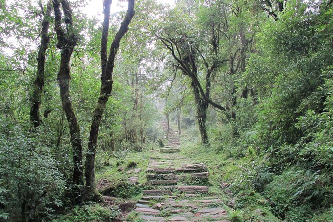 2-Day Private Trekking Tour to Australian Camp & Dhampus - Guest-House Stay in the Hills: Clean, Simple, and Bring Your Own Kit