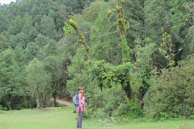 2-Day Private Trekking Tour to Australian Camp & Dhampus - Pace, Fitness, and Who This Tour Is Best For