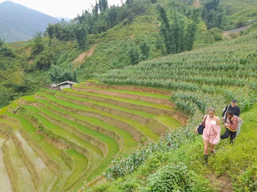 2-Day Sa Pa Ethnic Homestay Tour & Trek with Limousine Bus - Who This Trek Is Best For